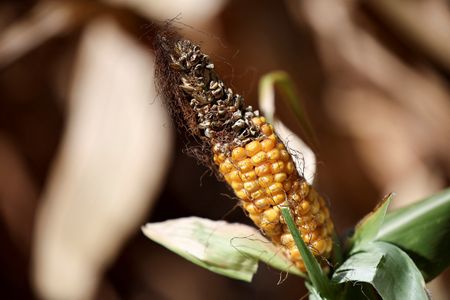 tagreuters.com2025binary_LYNXMPEL120C0-VIEWIMAGE