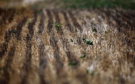 tagreuters.com2025binary_LYNXMPEL120C2-VIEWIMAGE