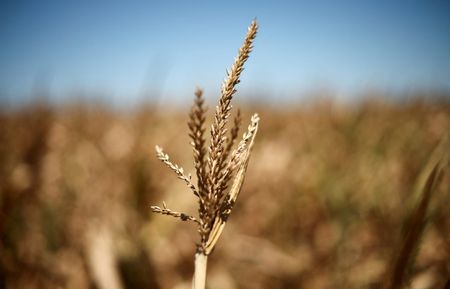 tagreuters.com2025binary_LYNXMPEL120C5-VIEWIMAGE