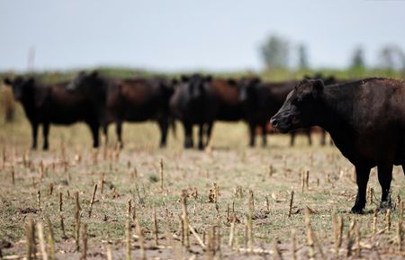 tagreuters.com2025binary_LYNXMPEL120C6-VIEWIMAGE