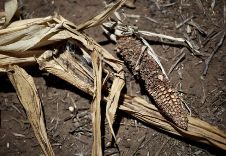 tagreuters.com2025binary_LYNXMPEL120C7-VIEWIMAGE