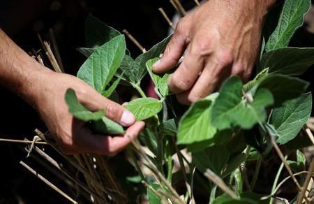 tagreuters.com2025binary_LYNXMPEL120C8-VIEWIMAGE