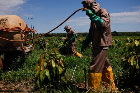 tagreuters.com2025binary_LYNXMPEL3L0CA-VIEWIMAGE