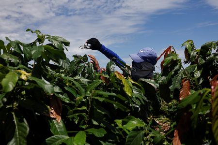 tagreuters.com2025binary_LYNXMPEL3L0CB-VIEWIMAGE