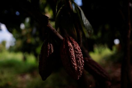 tagreuters.com2025binary_LYNXMPEL3L0CC-VIEWIMAGE