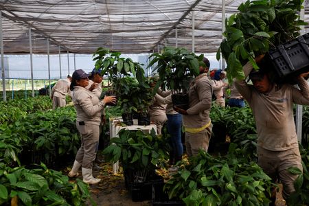 tagreuters.com2025binary_LYNXMPEL3L0CE-VIEWIMAGE