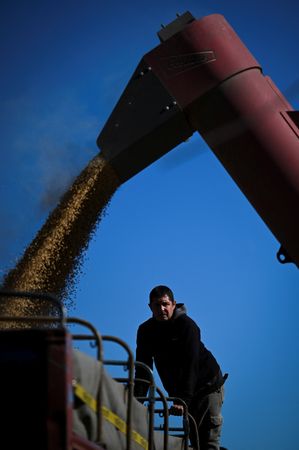 tagreuters.com2025binary_LYNXMPEL4E0JS-VIEWIMAGE