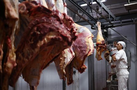 tagreuters.com2025binary_LYNXMPEL4L0IB-VIEWIMAGE