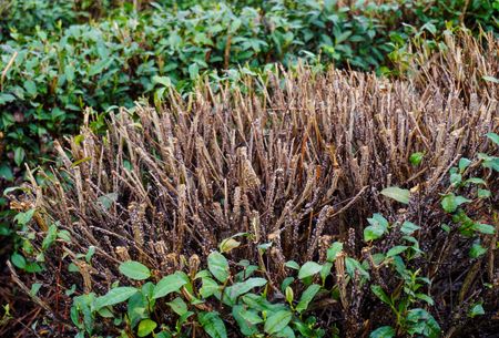 tagreuters.com2025binary_LYNXMPEL6301Z-VIEWIMAGE