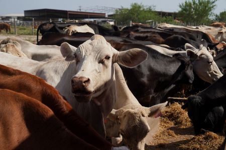 tagreuters.com2025binary_LYNXMPEL760L5-VIEWIMAGE