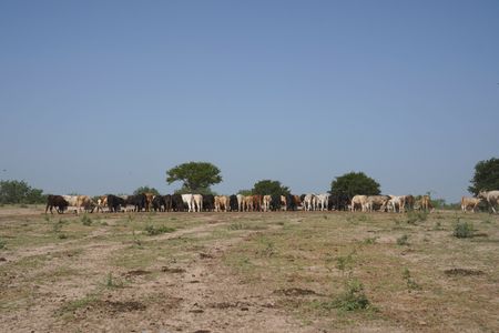 tagreuters.com2025binary_LYNXMPEL760L8-VIEWIMAGE