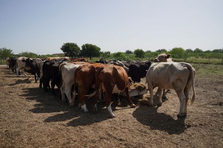 tagreuters.com2025binary_LYNXMPEL760L9-VIEWIMAGE