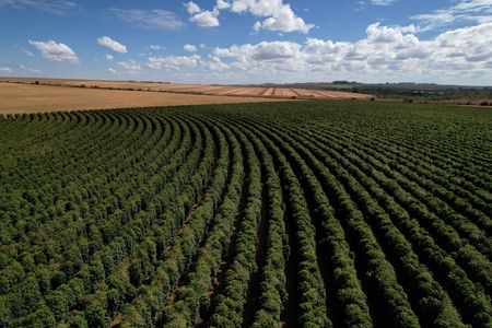 tagreuters.com2025binary_LYNXMPEL9T0IE-VIEWIMAGE