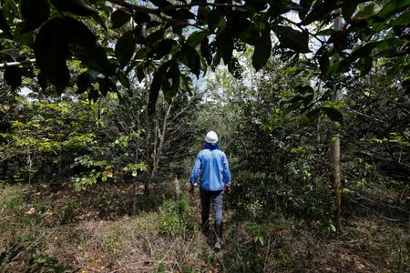 tagreuters.com2025binary_LYNXMPELA50HD-VIEWIMAGE