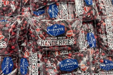 tagreuters.com2025binary_LYNXMPELA708U-VIEWIMAGE