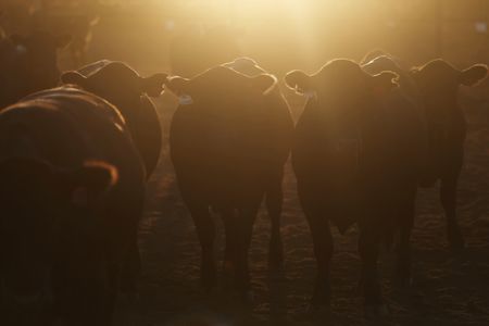 tagreuters.com2025binary_LYNXMPELB00J2-VIEWIMAGE