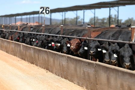 tagreuters.com2025binary_LYNXMPELB00J6-VIEWIMAGE