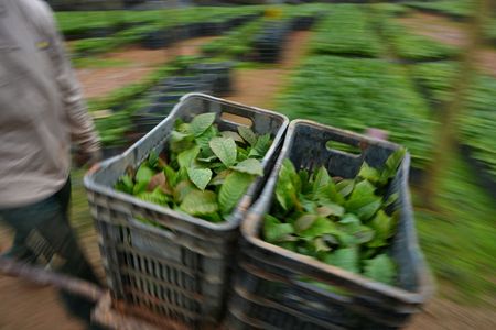 tagreuters.com2025binary_LYNXMPELB506L-VIEWIMAGE