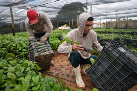 tagreuters.com2025binary_LYNXMPELB506M-VIEWIMAGE