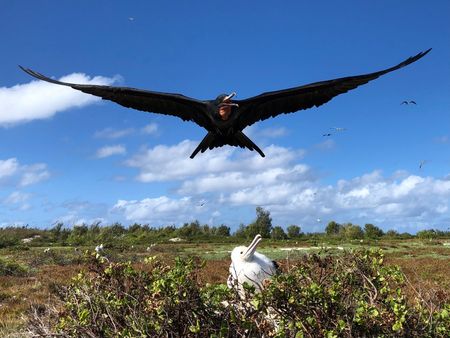 tagreuters.com2025binary_LYNXNPEL310F6-VIEWIMAGE