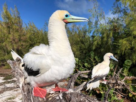 tagreuters.com2025binary_LYNXNPEL310F8-VIEWIMAGE