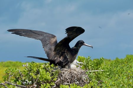 tagreuters.com2025binary_LYNXNPEL310F9-VIEWIMAGE