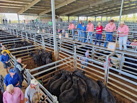 tagreuters.com2025binary_LYNXNPEL370AN-VIEWIMAGE