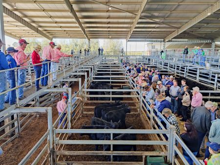 tagreuters.com2025binary_LYNXNPEL370AO-VIEWIMAGE