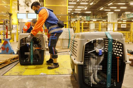 tagreuters.com2025binary_LYNXNPEL8G0B5-VIEWIMAGE