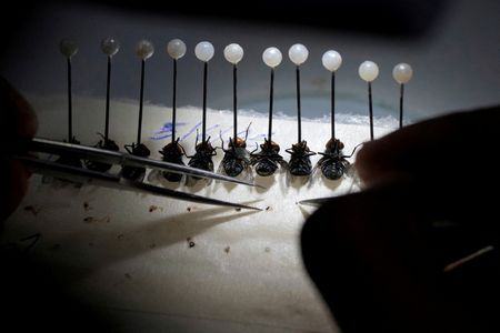 tagreuters.com2025binary_LYNXNPEL8S0TD-VIEWIMAGE