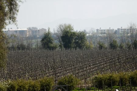 tagreuters.com2025binary_LYNXNPEL910S9-VIEWIMAGE