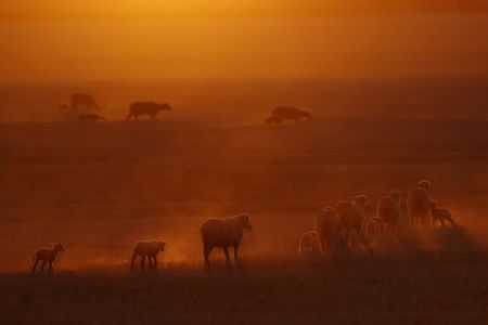 tagreuters.com2025binary_LYNXNPEL920AI-VIEWIMAGE