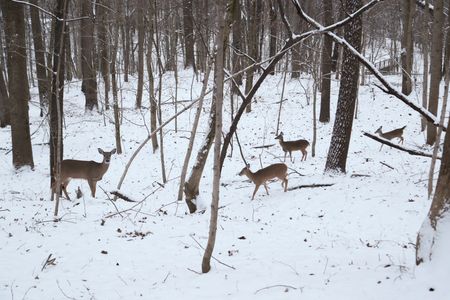 tagreuters.com2022binary_LYNXMPEI090VQ-VIEWIMAGE