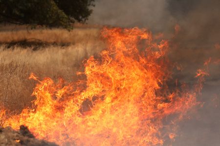 tagreuters.com2022binary_LYNXMPEI6N0AX-VIEWIMAGE