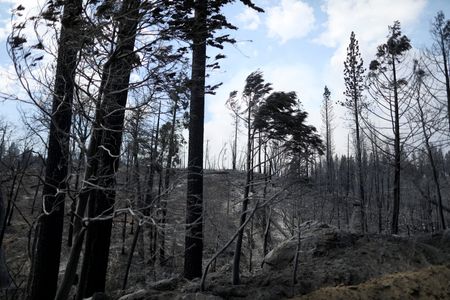 tagreuters.com2022binary_LYNXMPEI6P00T-VIEWIMAGE