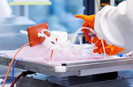 tagreuters.com2022binary_LYNXMPEI780X3-VIEWIMAGE