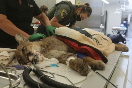 tagreuters.com2022binary_LYNXMPEI7Q07D-VIEWIMAGE