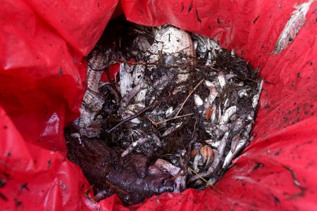 tagreuters.com2022binary_LYNXMPEI7U13R-VIEWIMAGE