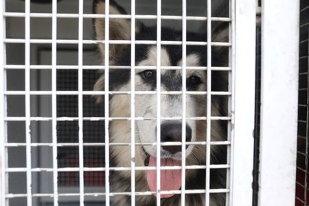 tagreuters.com2022binary_LYNXMPEI8A064-VIEWIMAGE