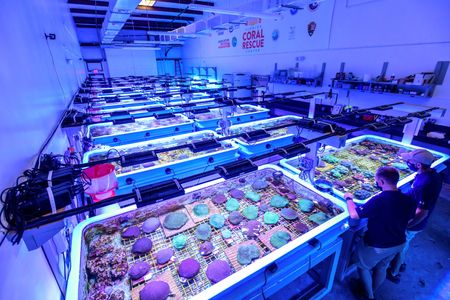 tagreuters.com2022binary_LYNXNPEI3K118-VIEWIMAGE