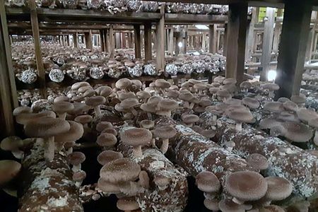 tagreuters.com2023binary_LYNXMPEJ0P04P-VIEWIMAGE