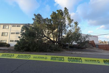 tagreuters.com2023binary_LYNXMPEJ1L0O7-VIEWIMAGE