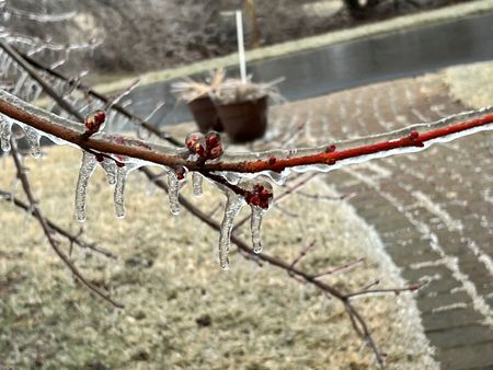 tagreuters.com2023binary_LYNXMPEJ1M0VP-VIEWIMAGE