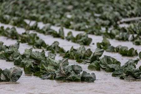 tagreuters.com2023binary_LYNXMPEJ2D0W6-VIEWIMAGE