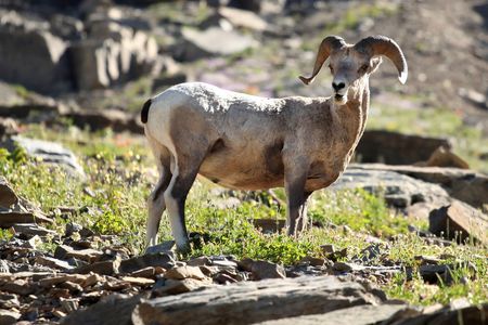 tagreuters.com2023binary_LYNXMPEJ2K09Y-VIEWIMAGE