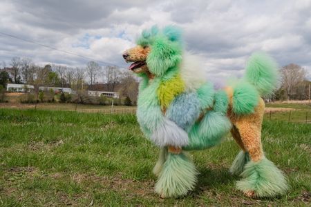 tagreuters.com2023binary_LYNXMPEJ2O03T-VIEWIMAGE