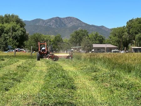 tagreuters.com2023binary_LYNXMPEJ6700D-VIEWIMAGE