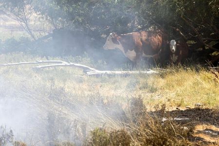 tagreuters.com2023binary_LYNXMPEJ6N0D7-VIEWIMAGE