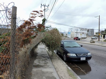 tagreuters.com2023binary_LYNXMPEJ7I084-VIEWIMAGE