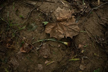 tagreuters.com2024binary_LYNXMPEK9P05W-VIEWIMAGE